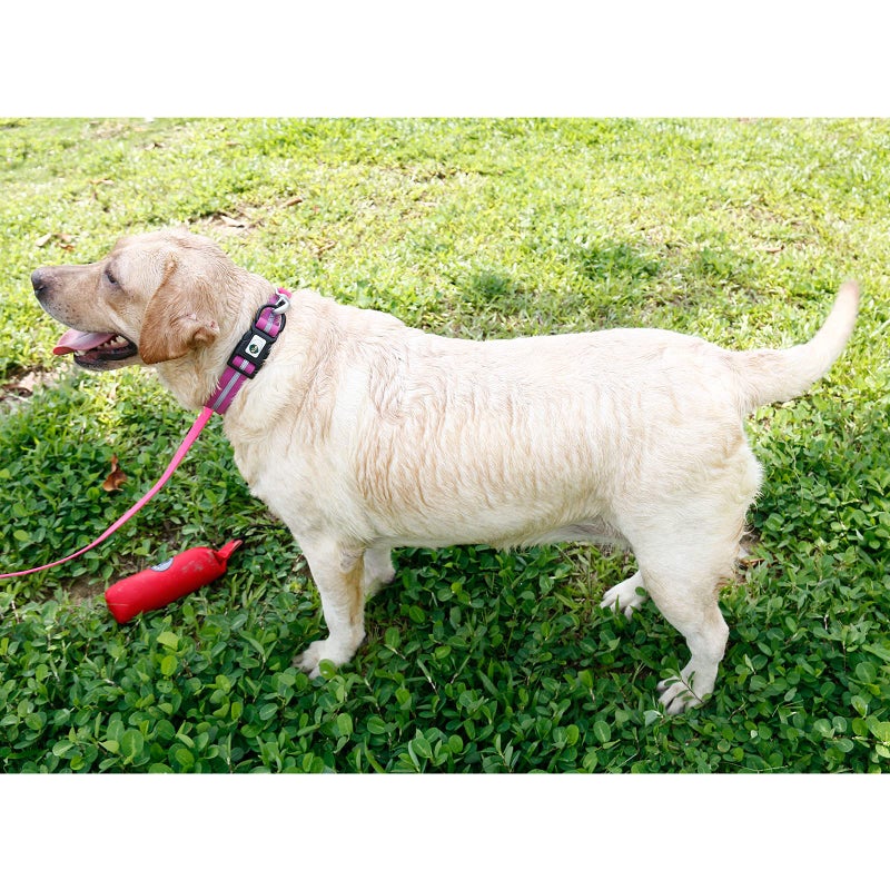 NIMBLE Dog Collar Waterproof Pet Collars Anti-Odor Durable Adjustable PVC & Polyester Soft with Reflective Cloth Stripe Basic Dog Collars S/M/L Sizes (Small (9.45â€-14.17â€inches), Rose Purple) - Image 4